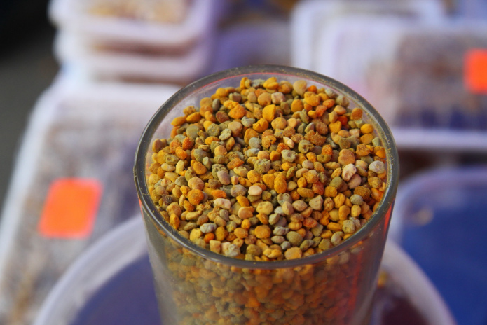 В ВКО открывается научно-исследовательский центр алтаеведения